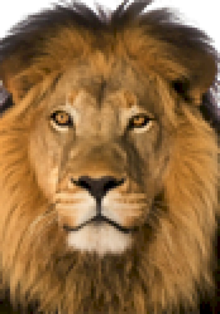 Lion Angry Roar Sound Effect Sound Effects MP3 Template Free Download -  Pikbest