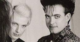 Siouxsie & The Banshees Siouxsie & The Banshees are an iconic and influential English rock band that emerged during the punk