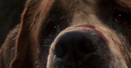 Cujo (1983)