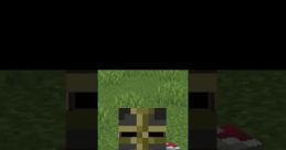Minecraft.raro