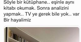 Entel feridun v2