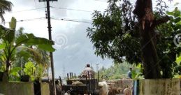Cart going down a road