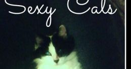 Sensual cat noises