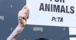 TWING(PETA)