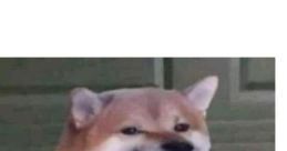 Jeff meme soup