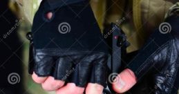 Gun Loading