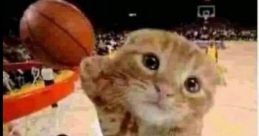 Ballin funny