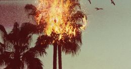 Animal Kingdom (2016) - Season 1