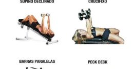 Ai meu peito