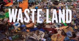 Waste Land (2010)