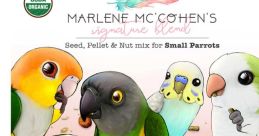 Chirp - Mc parrot