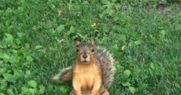 You want this nut?
