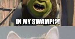 Shrek "What are you doing in my swamp?!"