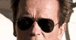 Arnold Schwarzenegger : The Last Stand