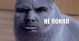 Не понял блять