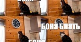 Блять ты заебал