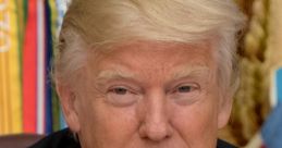 Donald Trump Type your text and hear it in the voice of Donald Trump.