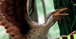 Dinosaur Race - Video Game
