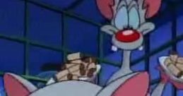 Pinky and the Brain - Season 1