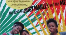 Ziggy Marley And The Melody Makers