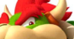 Bowser : New Super Mario Bros. Wii