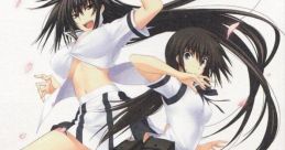 Maji de Watashi ni Koishinasai! S 真剣で私に恋しなさい！S - Video Game