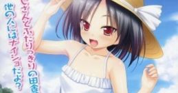 Natsu Ecchi: Mei to Inaka no Natsuyasumi なつえっち ～めいといなかのなつやすみ～ - Video Game