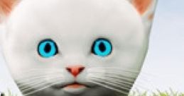 Play with Gilbert - Video Game