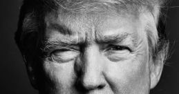 Donald Trump (Version 1.0) Type your text and hear it in the voice of Donald Trump (Version 1.0).