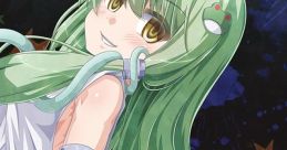 RE-WORLD Touhou - Video Game