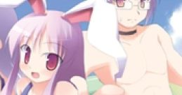 THE Ore ~SIMPLE 1000~ THE 俺 〜SIMPLE1000〜 Touhou Eiyashou ~ Imperishable Night. - Video Game