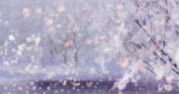 SETSUGEKKA -The end of silence- - GACKT [Limited Edition] 雪月花 -The end of silence- - GACKT - Video Game Video game