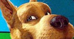 Scooby (scooby doo films)