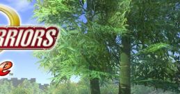 Dynasty Warriors Online Shin Sangoku Musou Online 真・三國無双Online - Video Game
