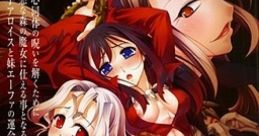 Samayou Midarana Lunatics: Tsuki no Hime Otogizoushi 彷徨う淫らなルナティクス~月の姫お伽草子~ - Video Game