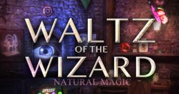 Sirgur Ilznatz _ Skully (Waltz of the Wizard)