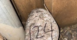Plainrock124