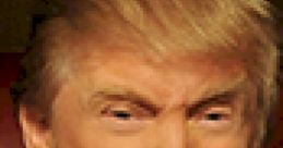 Donald Trump : The Apprentice