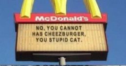 Hare Kitty you can have cheese burger (voice male) (MEME)