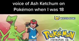 Ash Ketchum (Pokémon) (VA: Sarah Natochenny)