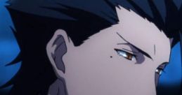 Diarmuid ua Duibhne (Fate-Zero)