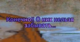 Waldemar (Russian SAMP YouTuber)