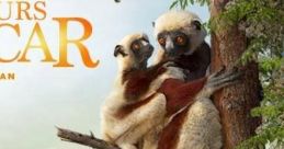 Island of Lemurs: Madagascar Trailer