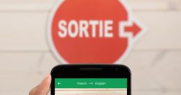 Google Translate (EN)