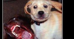 Shoop Da Whoop-IMMA FIRIN MAH LAZOR