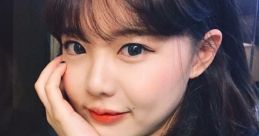 Korean visual YouTuber Go Segu