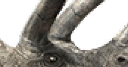 Triceratops
