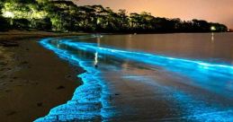Bioluminescenty [ Animatic Battle ]".