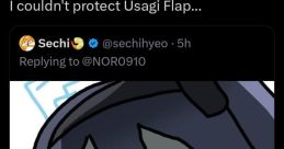 Nor - Usagi Flap (Drums)