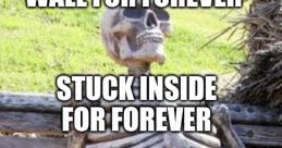 Wall Skeleton (Stuck Inside Verse Meme)